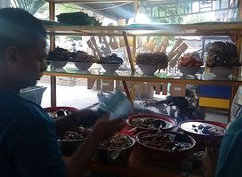 Nasi Bebek bireuen