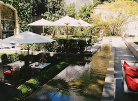 Gioia Cocina Botánica