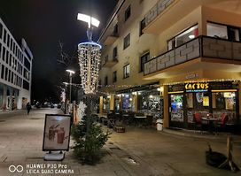 Cactus cafe&restaurant