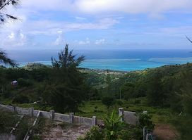 Le Tropical, Chez Jeannette