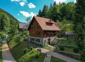 Tratinčica
