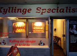 The Chicken Specialist