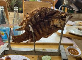 JF Garden Fish&Wine Restaurant