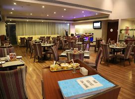 Blue Cilantro