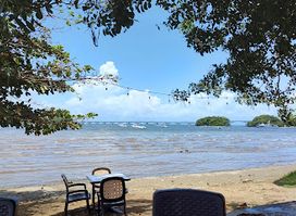 La vela de oro