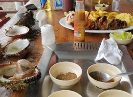 Restaurante El Delfin