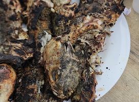 Grillez vos poissons
