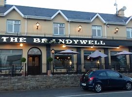The Brandywell