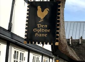 Den Gyldne Hane