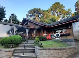 Toro Gramado