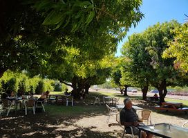 Ivanhoe Cafe