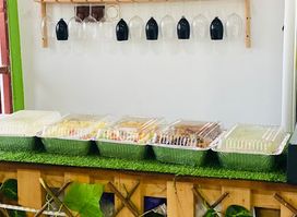 Piesie’s lounge