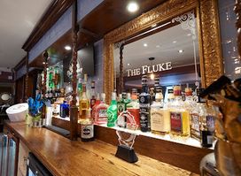 The Fluke