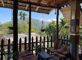 Tree House Cafe & Bar