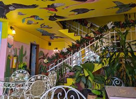 Casa omedeto