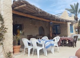 Uncle Ali's FISH restaurant