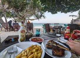 Papaya Beach Bar N’ Restaurant