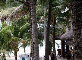 Salamandas Restaurant