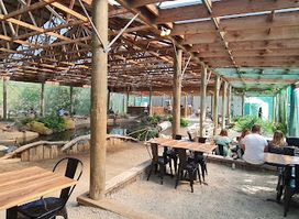 Outback Chef's Wild Food Farm