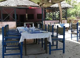 Colobus Shade