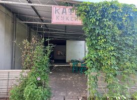 Kuksi u Iriny