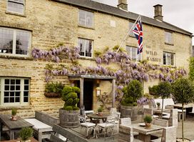 The Wild Rabbit