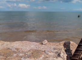 beach