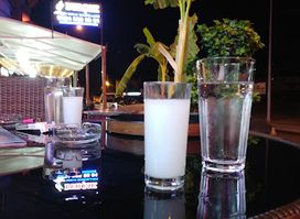Rıckys Chıppy