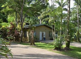 Daintree Siesta Accommodation & Campground
