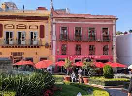 El Canastillo De Flores II