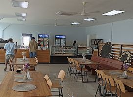 CAFE MOHO