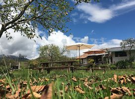 La Cosecha Tagualó