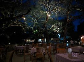 Acacia Shade Restaurant