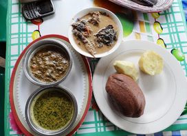 Parabola Foods