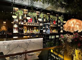 Zuaya London