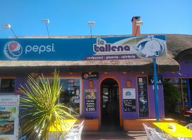 La Ballena