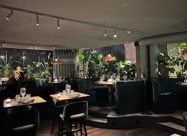Botanico
