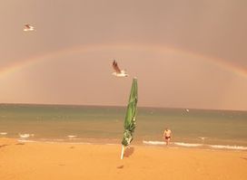 Beach Bar