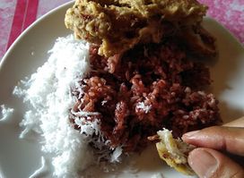 Lapau Katan Goreng Ni An