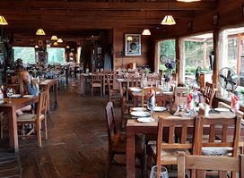 Restaurante De Pellin y Coigüe