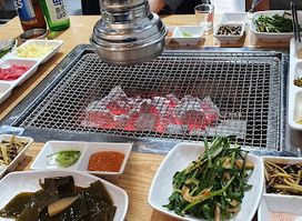 Excellent Eel