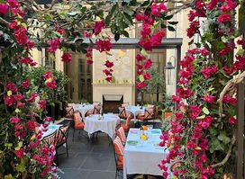 The Garden
