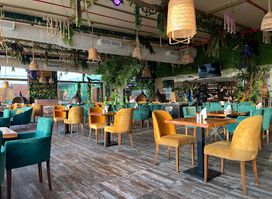 the Monkey's Lounge