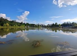 Lake side