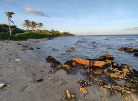 Pumpkin Hill Beach