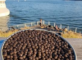 Nordic Caviar House
