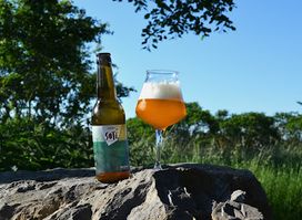 Tetras Beer