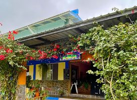 Burricos Mexican Grill