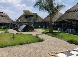 Ngezi