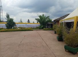Nice Garden